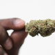 Illustration for article titled Seattle Vacates Hundreds of Marijuana Charges Going Back 30 Years